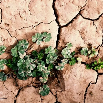 زندگی بین شکاف ها